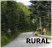 Rural road