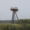 riga--sigulda- photo