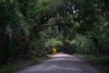 charleston--edisto-island-