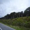 Motorcycle Road 6--greymouth-- photo