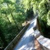 Motorcycle Road d268--col-de- photo