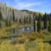 Motorcycle Road grand-mesa-scenic-byway- photo