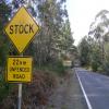 Motorcycle Road new-south-wales-tour- photo