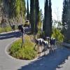 Motorcycle Road sacrario-del-monte-grappa- photo