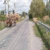Motorcycle Road babadag--murighiol-- photo