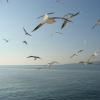 Motorcycle Road lake-iznik--istanbul- photo