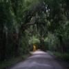 Motorcycle Road charleston--edisto-island- photo