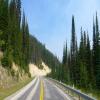 Motorcycle Road idaho--montana-- photo