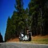 Motorcycle Road sumter-national-forest-2- photo