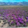 Motorcycle Road breede-river-to-sutherland- photo