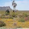 Motorcycle Road breede-river-to-sutherland- photo