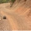 Motorcycle Road the-baviaanskloof- photo