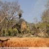 Motorcycle Road backroad-from-bulawayo-to- photo