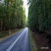 Motorcycle Road 102-to-pobierowo- photo