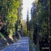 Motorcycle Road 14-north-to-harrachov- photo