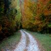 Motorcycle Road western-rodopi- photo