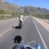 Motorcycle Road mount-lemmon-highway-- photo